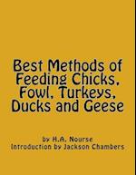 Best Methods of Feeding Chicks, Fowl, Turkeys, Ducks and Geese