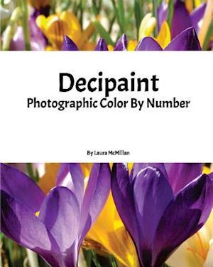 Decipaint: Photographic Color By Number