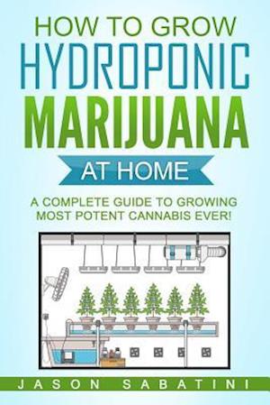 How to Grow Hydroponic Marijuana at Home