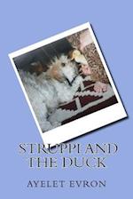Struppi and the Duck