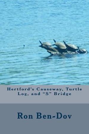 Hertford Causeway, Turtle Log, and S Bridge