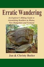 Erratic Wandering