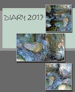 Diary 2017