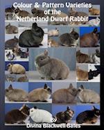 Colour & Pattern Varieties of the Netherland Dwarf Rabbit