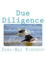 Due Diligence