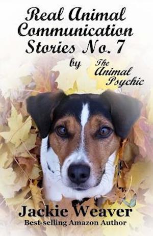Real Animal Communication Stories No. 7