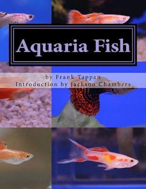 Aquaria Fish