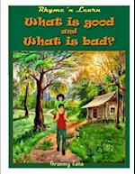 What Is Good and What Is Bad?