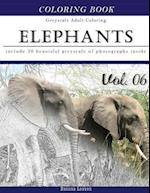 Elephants Wild Safari