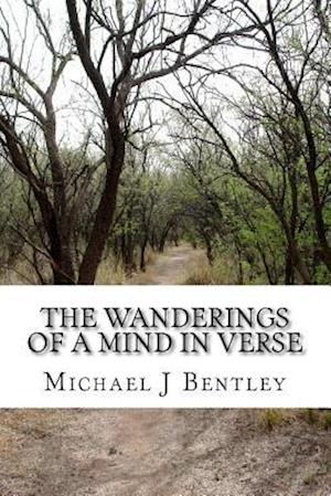 The Wanderings of a Mind in Verse