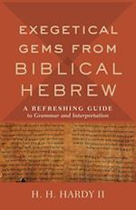 Exegetical Gems from Biblical Hebrew