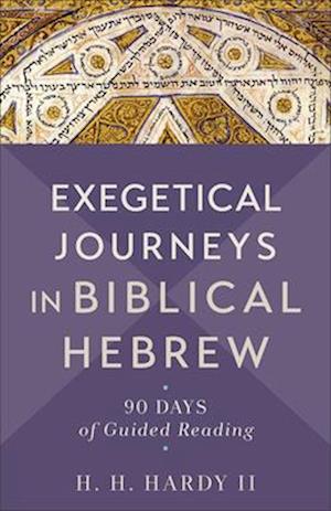 Exegetical Journeys in Biblical Hebrew