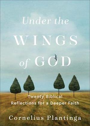 Under the Wings of God - Twenty Biblical Reflections for a Deeper Faith