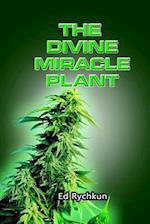The Divine Miracle Plant