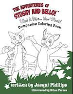 The Adventures of Stushy and Bello! "I Got A Bike... Now What!" Coloring Book