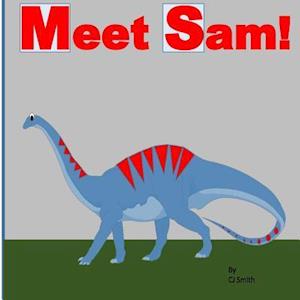 Meet Sam!