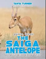 The Saiga Antelope Do Your Kids Know This?