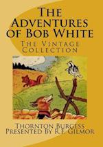 The Adventures of Bob White