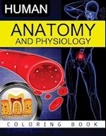 Anatomy & Physiology Coloring Book
