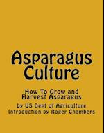 Asparagus Culture