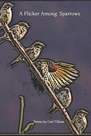 A Flicker Among Sparrows
