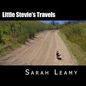 Little Stevie's Travels