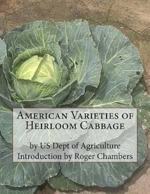 American Varieties of Heirloom Cabbage
