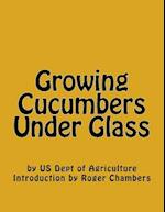 Growing Cucumbers Under Glass