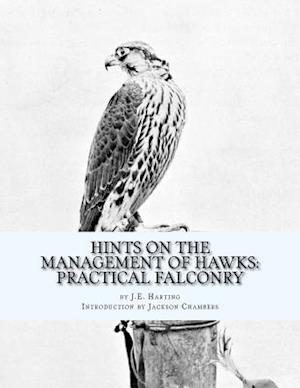 Hints on the Management of Hawks