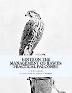 Hints on the Management of Hawks