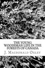 The Young Woodsman Life in the Forests of Canada