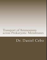 Transport of Ammonium Across Prokaryotic Membranes