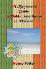 A Beginner's Guide to Public Healthcare in Mexico