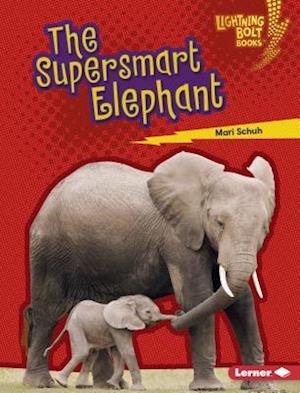 The Supersmart Elephant