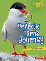 Arctic Tern's Journey