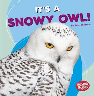 It's a Snowy Owl!