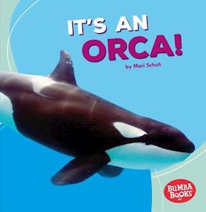 It's an Orca!
