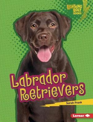 Labrador Retrievers