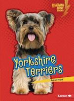 Yorkshire Terriers