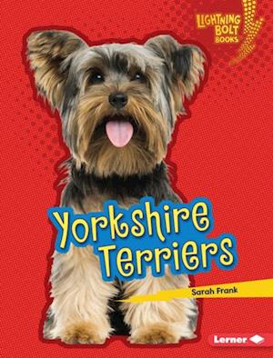 Yorkshire Terriers