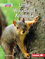 Little Woodland Animals