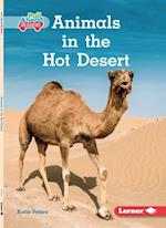 Animals in the Hot Desert