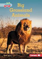 Big Grassland Animals