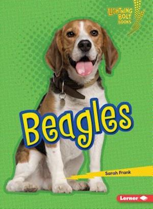 Beagles