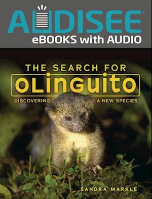 Search for Olinguito