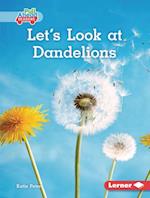 Let's Look at Dandelions