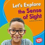 Let's Explore the Sense of Sight