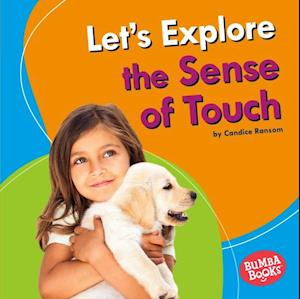 Let's Explore the Sense of Touch