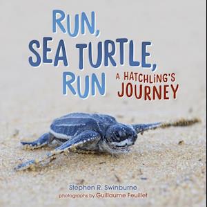 Run, Sea Turtle, Run