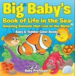 Big Baby's Book of Life in the Sea: Amazing Animals that Live in the Water - Baby & Toddler Color Books